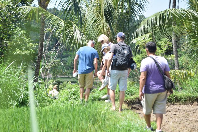 Tetebatu Walking Tour - Rice Terraces, Waterfall & Monkey Forest - The 7:00 a.m. pickup from Lombok hotels