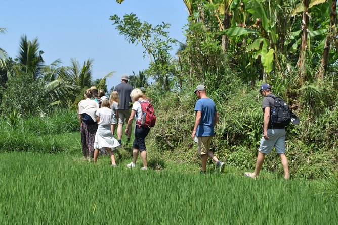 Tetebatu Walking Tour - Rice Terraces, Waterfall & Monkey Forest - Coffee, local homes, and Sasak village life