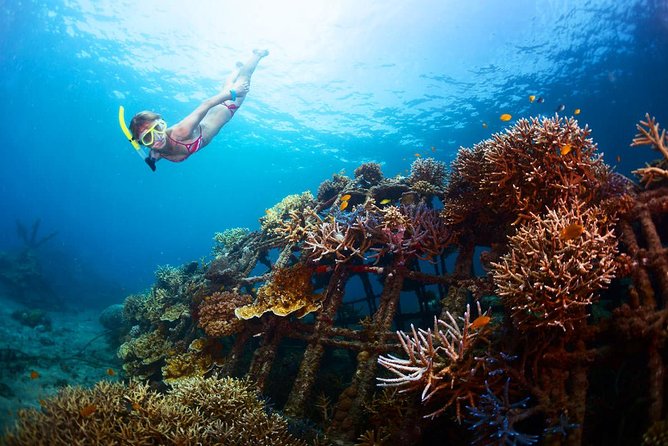The Best 2-point Snorkeling in Padangbai: Blue lagoon and Tanjung jepun - Lunch and the late-morning schedule