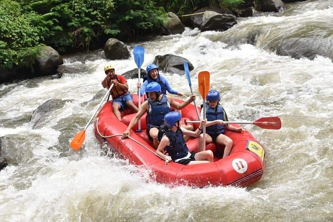 The Best Ayung River Rafting Adventure in Ubud - Who will enjoy this Ayung River trip most