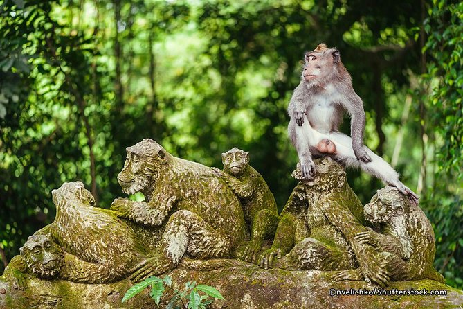 The Best of Ubud Tour and Jungle Swing - Sacred Monkey Forest Sanctuary: your first major stop