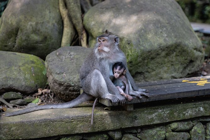 The Three Temples of Bali Half Day Private Tour - A compact route through Bali’s religious world