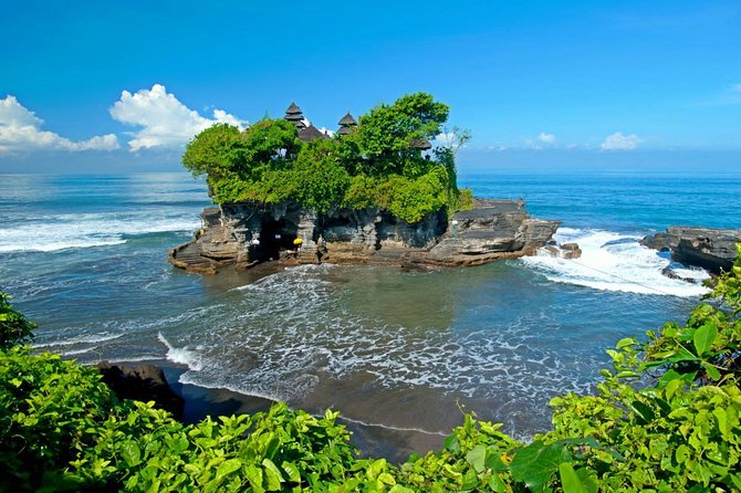 The Three Temples of Bali Half Day Private Tour - Alas Kedaton: monkeys, bats, and a sacred forest