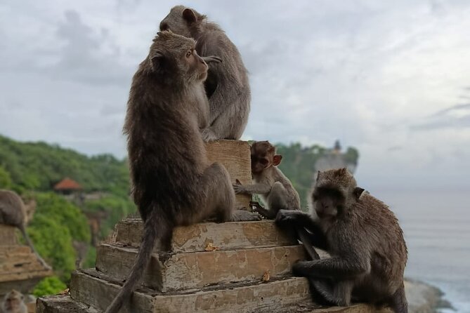 The Uluwatu Tour - Uluwatu Temple on the cliff
