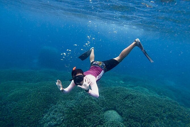 Three Islands Snorkeling (3 Spots) Manta Rays - From Lembongan - Mangrove Point keeps things shallow and close to Lembongan