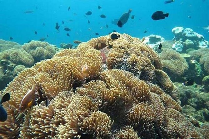 Tour Gate of Heaven at Lempuyang Temple - Blue Lagoon Snorkeling with lunch - Who will enjoy this tour most