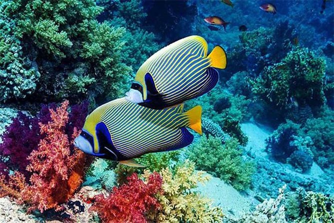 Tour Gate of Heaven at Lempuyang Temple - Blue Lagoon Snorkeling with lunch - Practical details that can make the day better