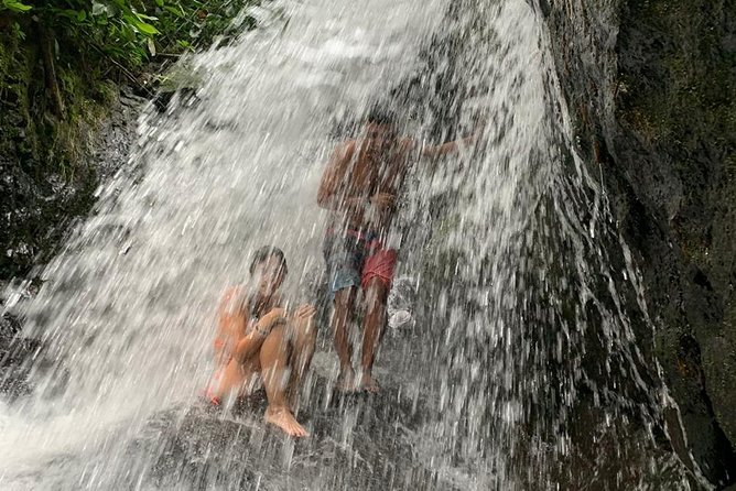 TOUR PACKAGE (jungle trekking, taxi, Room) 4 DAYS 3 NIGHTS in BUKIT LAWANG - What the $302.02 price includes