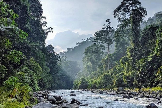 TOUR PACKAGE (jungle trekking, taxi, Room) 4 DAYS 3 NIGHTS in BUKIT LAWANG - Practical details before you book