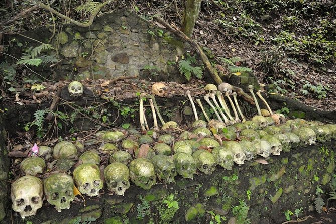 Trunyan Cemetery, Hot Spring, Penglipuran Village, and Waterfall Tour - A guide can make the cemetery visit worthwhile