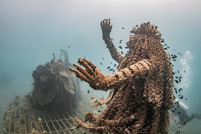 Try Dive Program in the Biorock Pemuteran - What the instructor support feels like