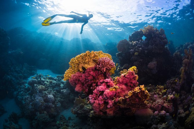 Try Freediving on Nusa Penida - What this Nusa Penida session is really teaching you