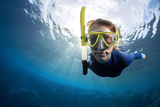 Try Freediving on Nusa Penida - From the classroom to Nusa Penida’s home reef