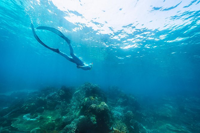 Try Freediving on Nusa Penida - Equipment, photos, and what you receive
