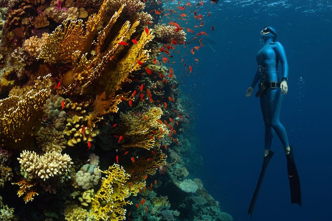 Try Freediving on Nusa Penida - Who will get the most from this experience