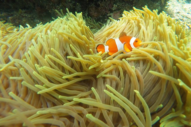Try Scuba Diving at Padang Bai - Lunch, showers, and the useful extras