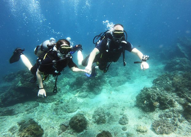 Try Scuba Diving at Padang Bai - The 7:00 a.m. pickup from your Bali hotel