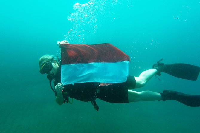 Try Scuba Diving at Tulamben Shipwreck - Preparation matters more than experience