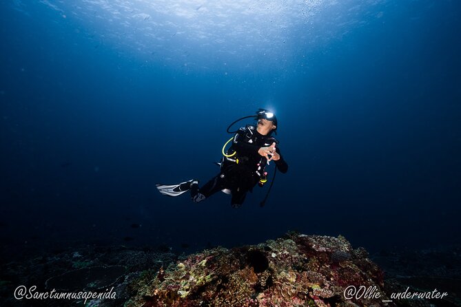 Try Scuba Diving for Beginners with manta rays (Non - Certified) - Getting to Sanctum Dive Center