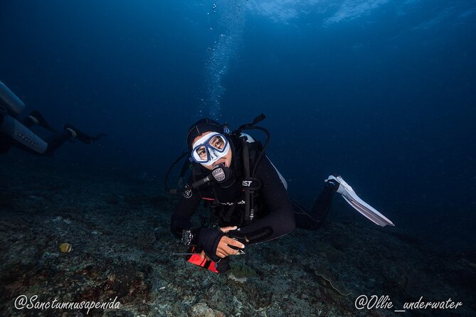 Try Scuba Diving for Beginners with manta rays (Non - Certified) - Two underwater sessions with a close instructor ratio
