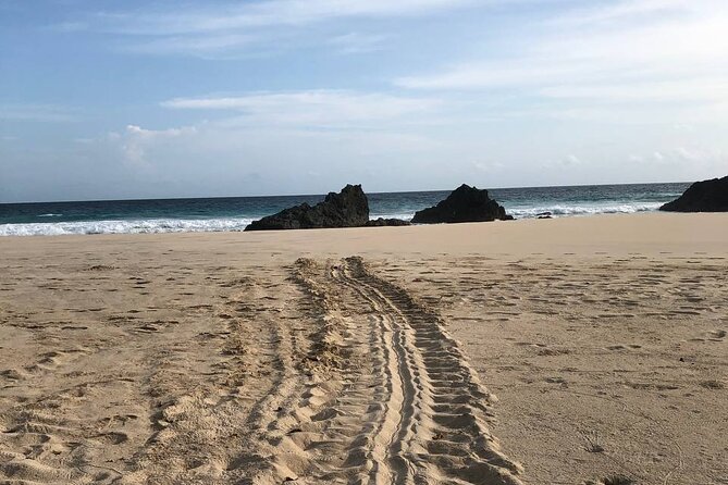 Turtle Tales of Pulau Banyak - Dawn brings hatchlings and a different kind of magic