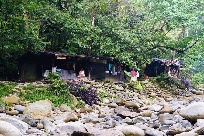 Two days orangutans adventure in Gunung Leuser - Lunch, fruit stops, and a forest pace