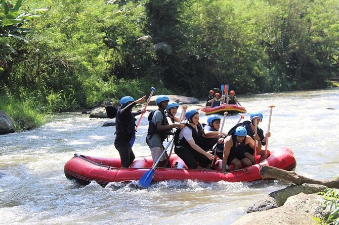 Ubud ATV Quad Bike with Ayung River Rafting Experience - Buffet lunch between the river and the quad bikes