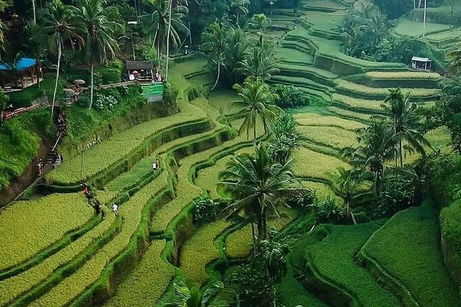 Ubud Bali Driver ( Bali Custom Tour ) - Safety, rain, and Bali traffic