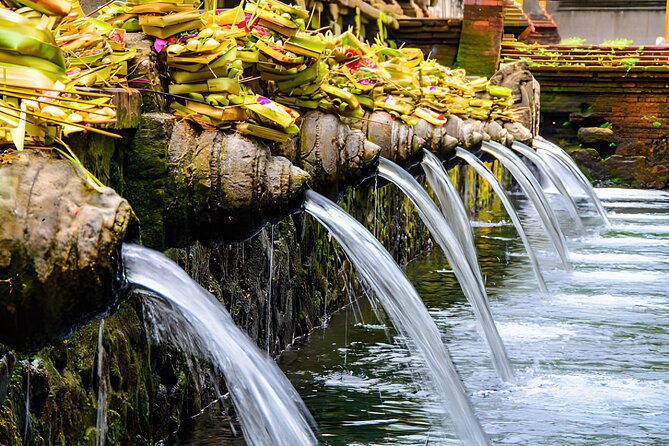 Ubud Bali: Rice Terrace, Waterfall and Tirta empul Day Tour - A full day from Seminyak to Ubud