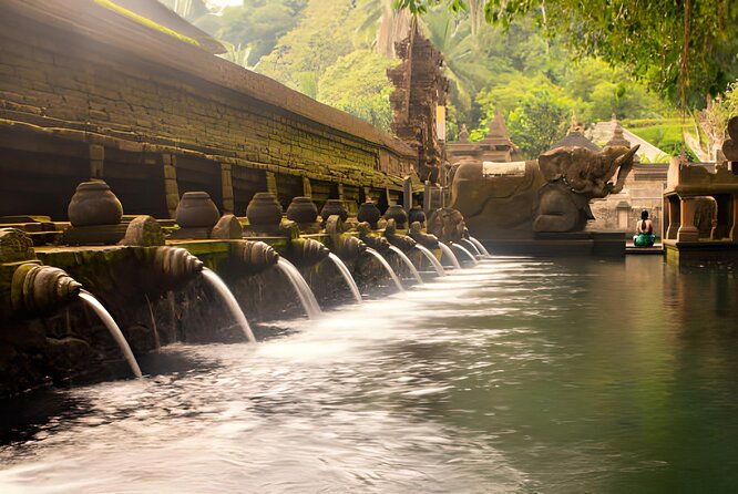 Ubud Bali: Rice Terrace, Waterfall and Tirta empul Day Tour - Goa Gajah, where Hindu and Buddhist traditions meet