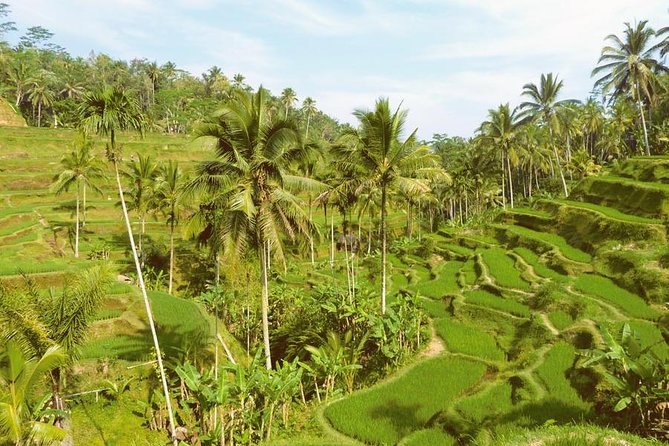 Ubud Combine Mount Batur Kintamani Tour - Tegenungan Waterfall needs time and sensible expectations