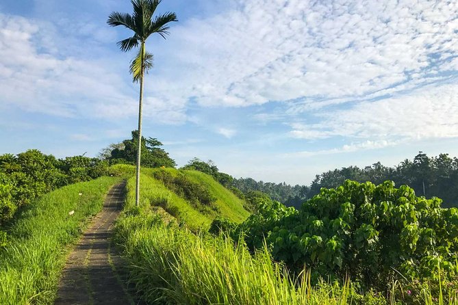 Ubud Countryside Tour: Campuhan Ridge Walk and Rice Terrace - A seven-hour route through Ubud’s countryside