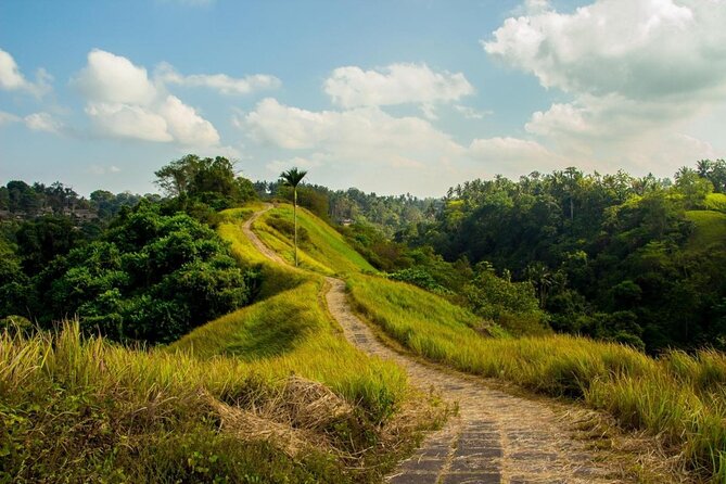 Ubud Countryside Tour: Campuhan Ridge Walk and Rice Terrace - Walking the Campuhan Ridge