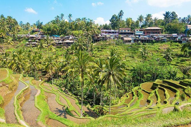 Ubud Countryside Tour: Campuhan Ridge Walk and Rice Terrace - Seeing the Tegalalang rice terraces