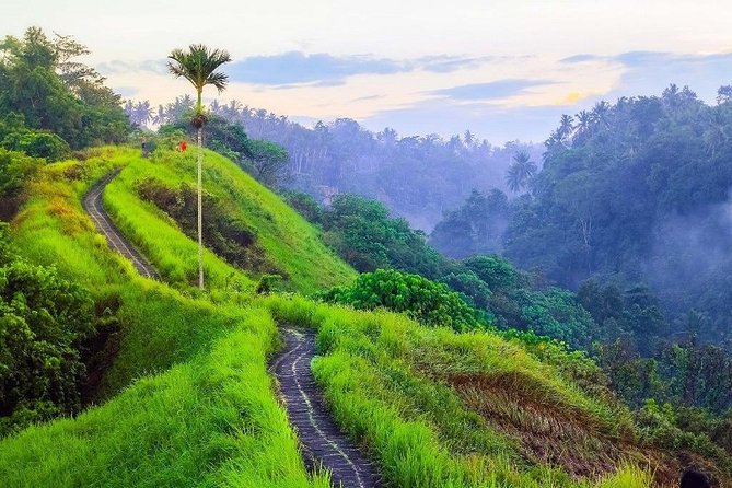 Ubud Countryside Tour: Campuhan Ridge Walk and Rice Terrace - Cooling off at Tegenungan Waterfall