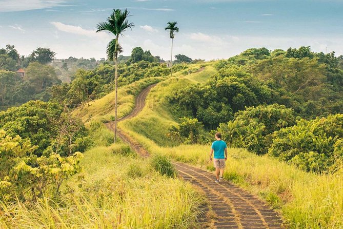 Ubud Countryside Tour: Campuhan Ridge Walk and Rice Terrace - Adding coffee, without making it the main event