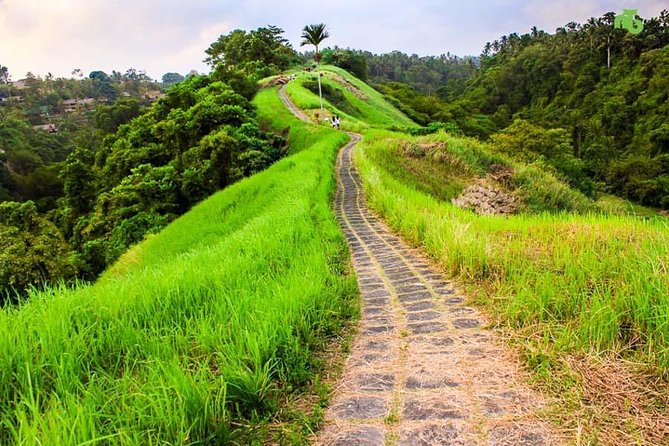 Ubud Countryside Tour: Campuhan Ridge Walk and Rice Terrace - Starting with a traditional Balinese house