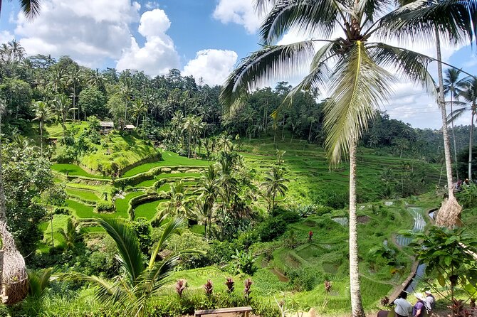 Ubud Customized Private Tour - Mount Batur and Kintamani: fine views, longer roads