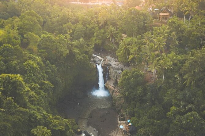 Ubud Day Tour: Sacred Monkey Forest, Tegenungan Waterfall, Rice Terrace - Tegenungan Waterfall and the 160-plus steps