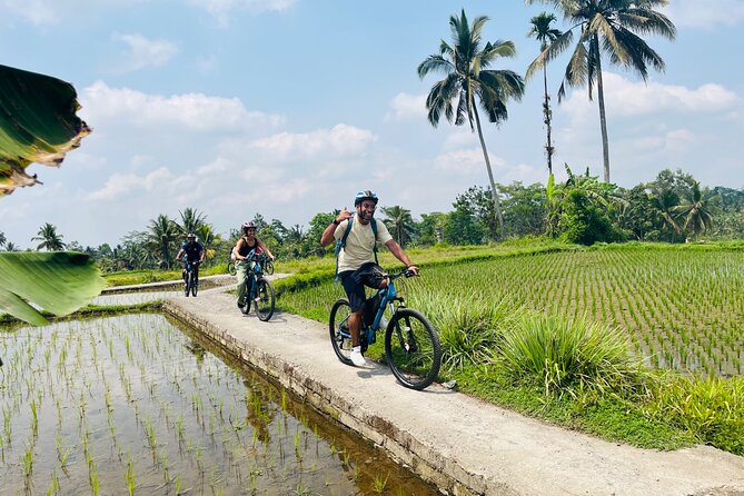 Ubud eBikes Tour to Tegallalang Rice Terrace - A traditional Balinese compound and village temple