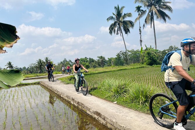 Ubud eBikes Tour to Tegallalang Rice Terrace - Tegallalang rice terraces and lunch with a view
