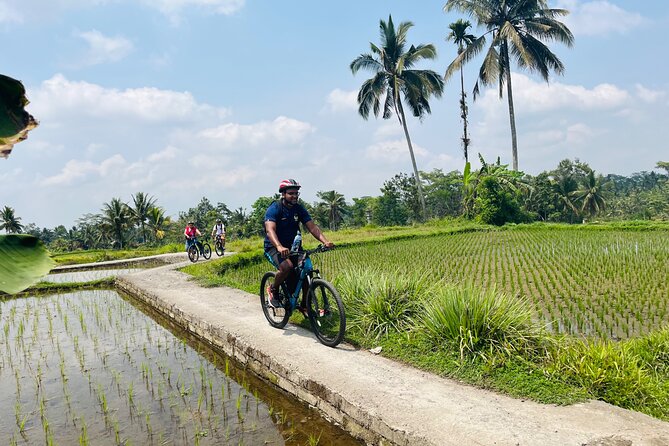 Ubud eBikes Tour to Tegallalang Rice Terrace - Coffee, tea, and the tourist side of Bali