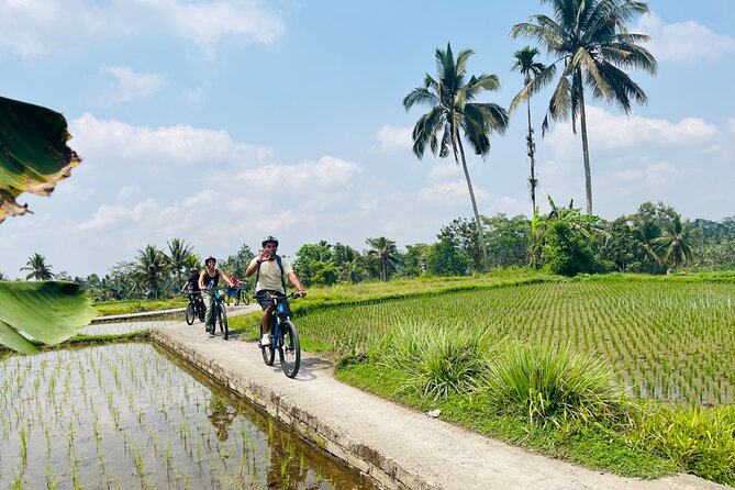 Ubud eBikes Tour to Tegallalang Rice Terrace - What the $30.55 price really covers