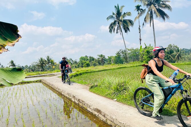 Ubud eBikes Tour to Tegallalang Rice Terrace - Starting at the eBikes Ubud Tour office