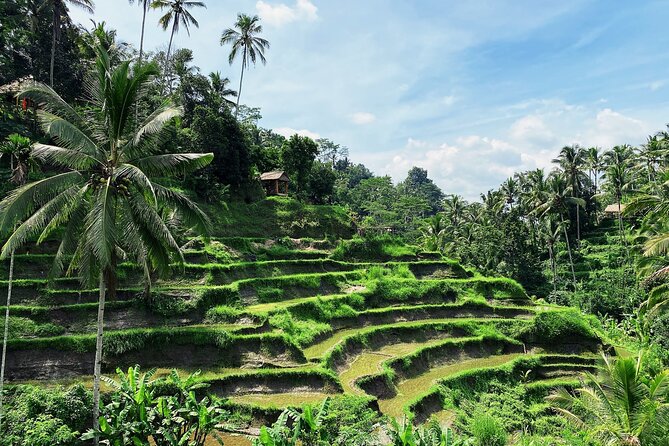 Ubud Experience | Full Day Private Tour in Ubud | FREE WIFI - Temples in Ubud and Batuan