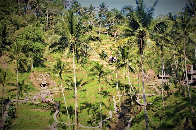 Ubud Experience | Full Day Private Tour in Ubud | FREE WIFI - Tegenungan Waterfall, a lively nature stop