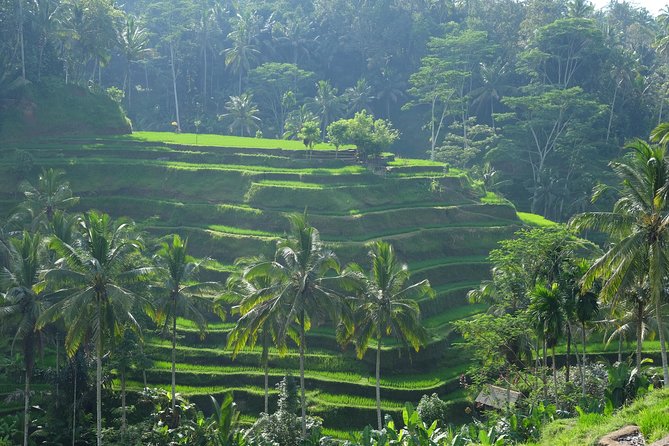 Ubud Experience ; Swing, Waterfalls, Art Market, Rice Terrace - Kumulilir adds the famous Bali swing