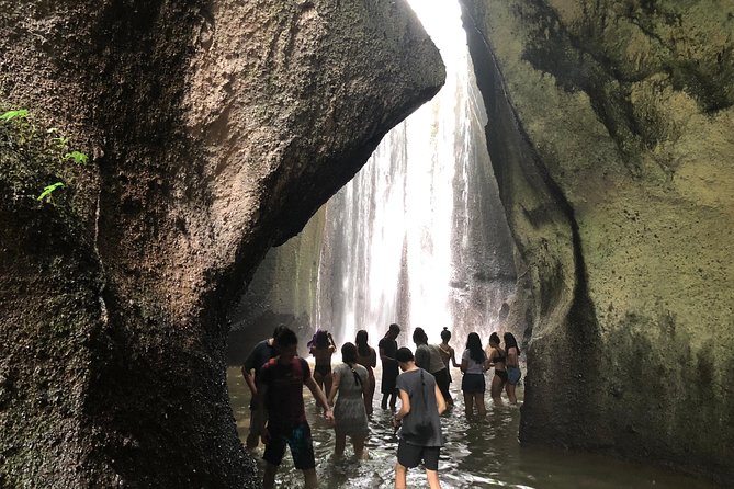 Ubud Experience ; Swing, Waterfalls, Art Market, Rice Terrace - The private car matters more than the sightseeing list