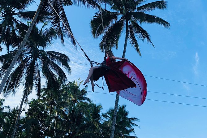 Ubud Experience ; Swing, Waterfalls, Art Market, Rice Terrace - What the driver can and cannot customize