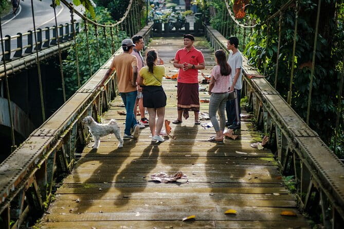 Ubud Guided Walking Tour - Key points to know before you book